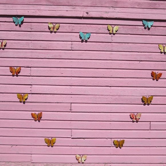 Meet your Posher, Camelia - Picture 1 of 2